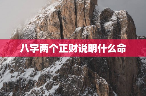 八字两个正财说明什么命