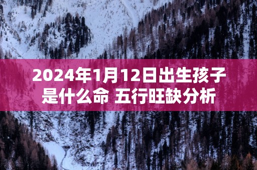 2024年1月12日出生孩子是什么命 五行旺缺分析