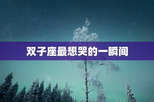 双子座最想哭的一瞬间