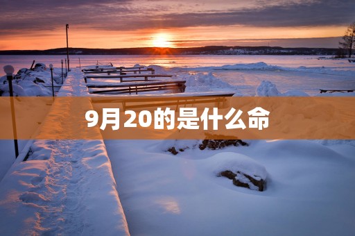 9月20的是什么命