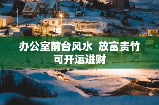 办公室前台风水  放富贵竹可开运进财