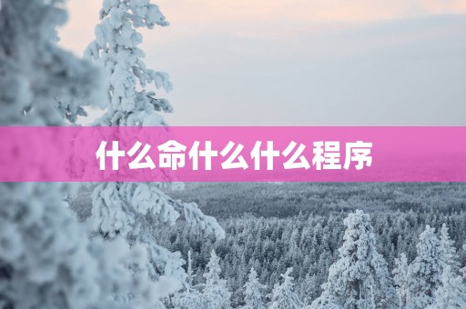 什么命什么什么程序 什么命什么什么程序