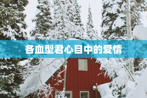 各血型君心目中的爱情