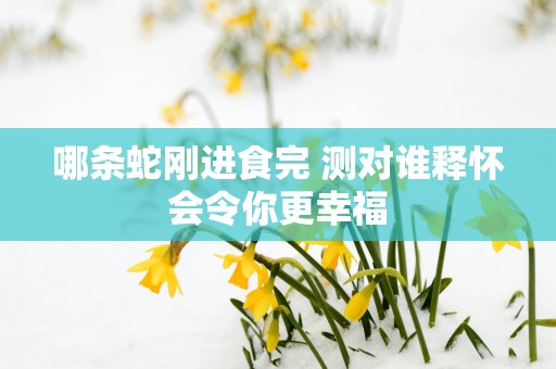 哪条蛇刚进食完 测对谁释怀会令你更幸福