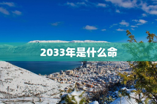 2033年是什么命