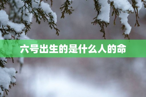 六号出生的是什么人的命