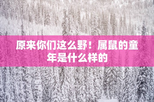 原来你们这么野！属鼠的童年是什么样的
