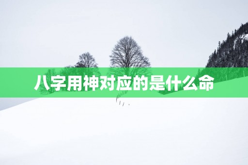 八字用神对应的是什么命