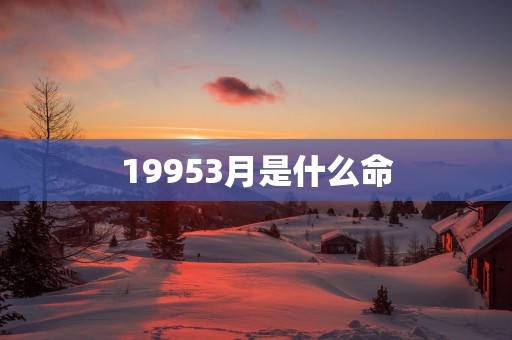 19953月是什么命