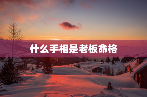 什么手相是老板命格
