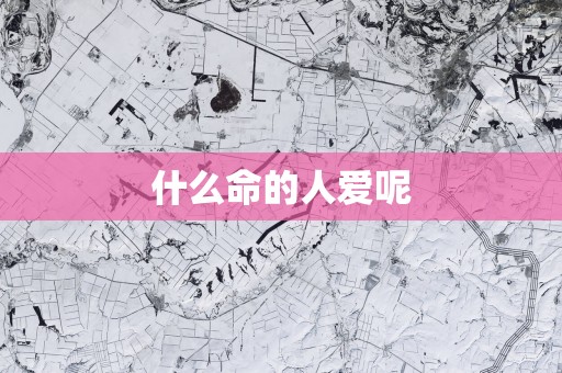 什么命的人爱呢