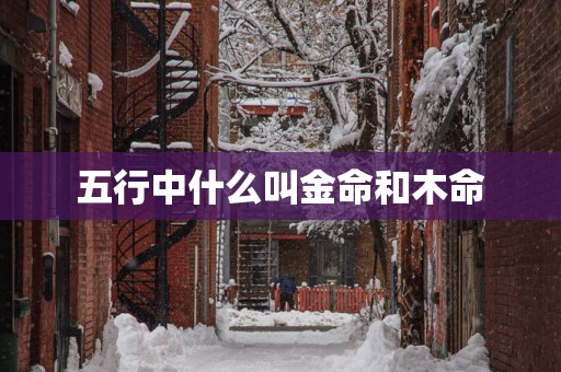 五行中什么叫金命和木命
