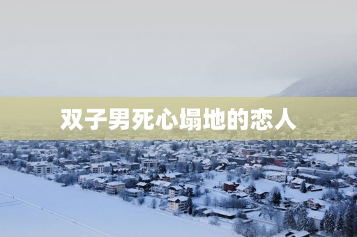 双子男死心塌地的恋人