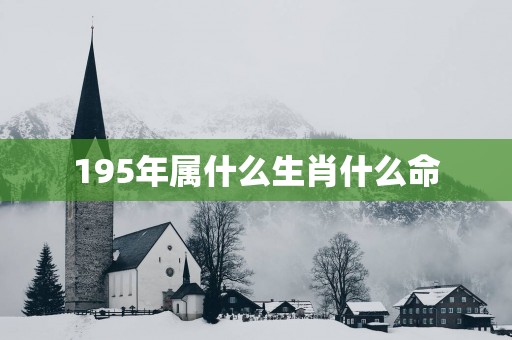 195年属什么生肖什么命
