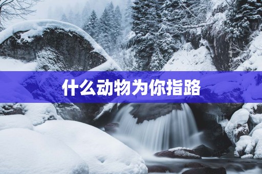 什么动物为你指路