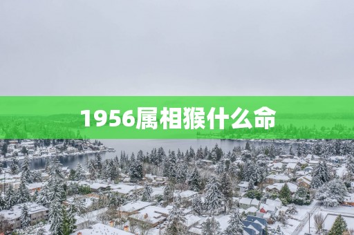 1956属相猴什么命