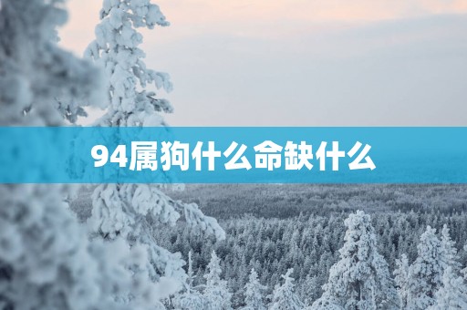 94属狗什么命缺什么