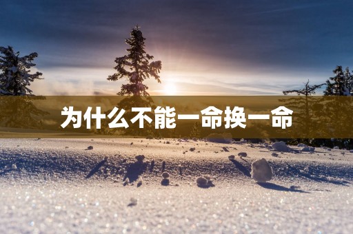 为什么不能一命换一命