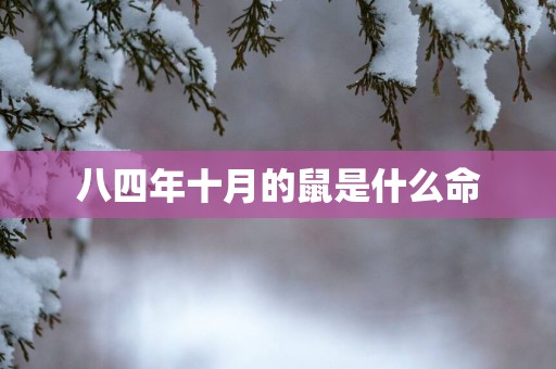 八四年十月的鼠是什么命