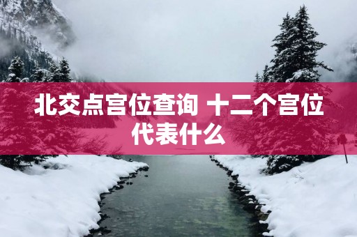 北交点宫位查询 十二个宫位代表什么
