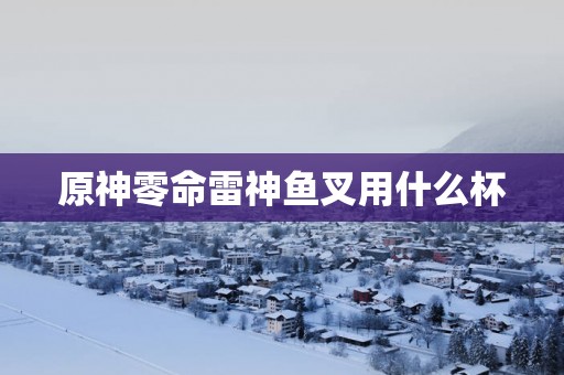 原神零命雷神鱼叉用什么杯