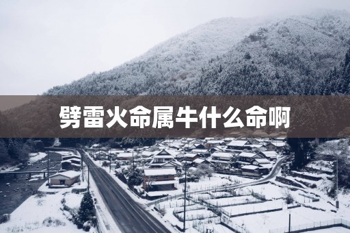 劈雷火命属牛什么命啊