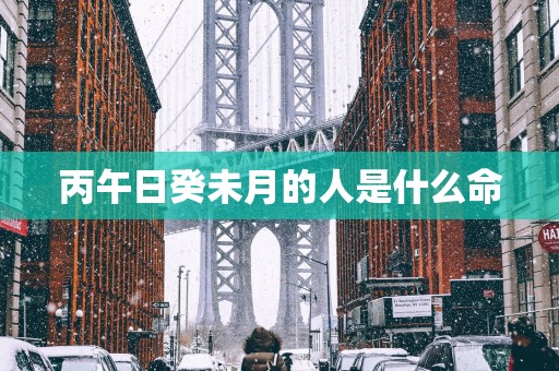 丙午日癸未月的人是什么命