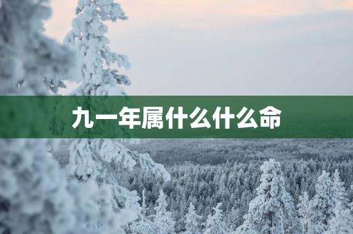 九一年属什么什么命