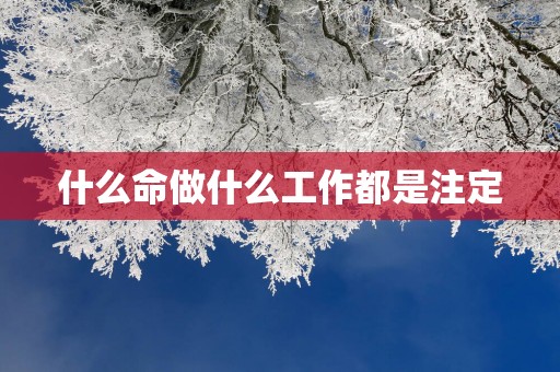 什么命做什么工作都是注定