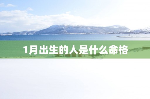 1月出生的人是什么命格