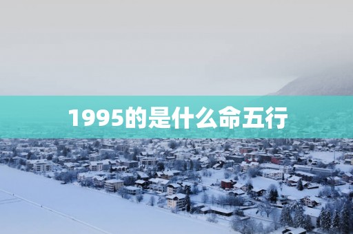 1995的是什么命五行