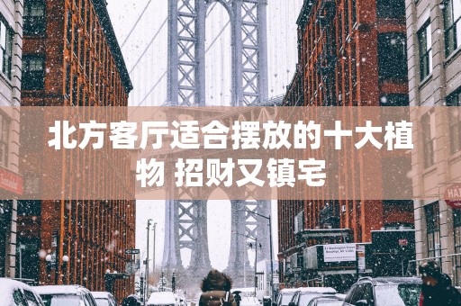 北方客厅适合摆放的十大植物 招财又镇宅