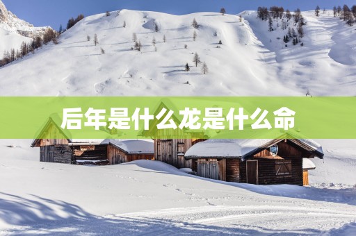 后年是什么龙是什么命