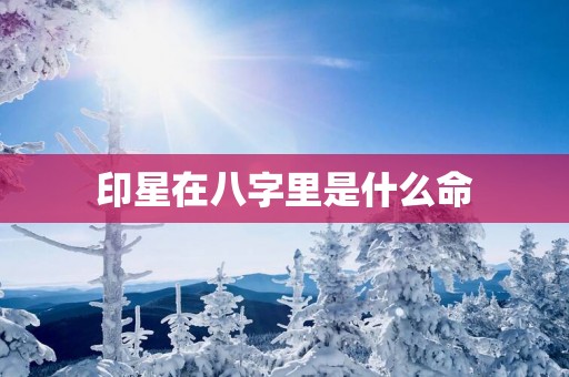 印星在八字里是什么命