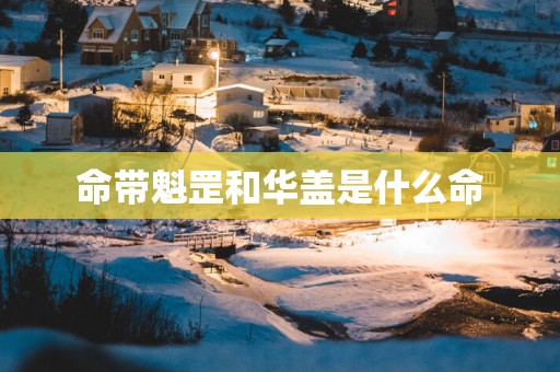 命带魁罡和华盖是什么命