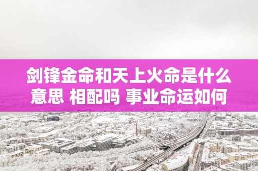 剑锋金命和天上火命是什么意思 相配吗 事业命运如何
