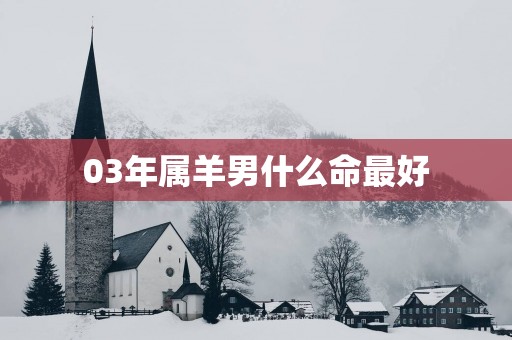 03年属羊男什么命最好
