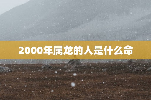 2000年属龙的人是什么命