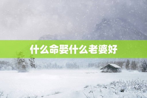 什么命娶什么老婆好