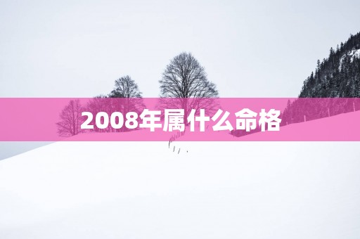 2008年属什么命格