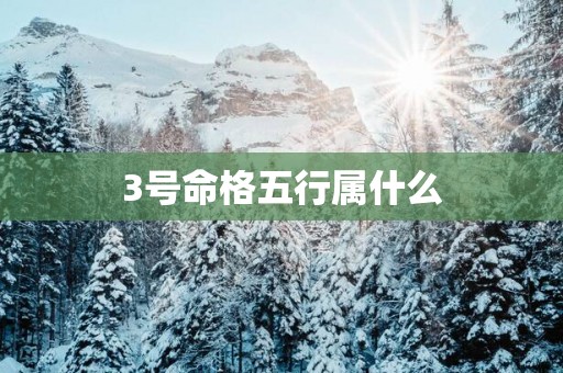 3号命格五行属什么