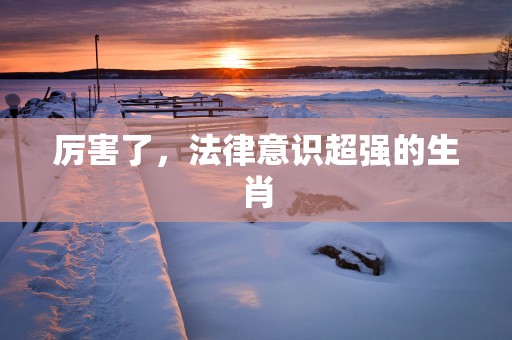 厉害了，法律意识超强的生肖