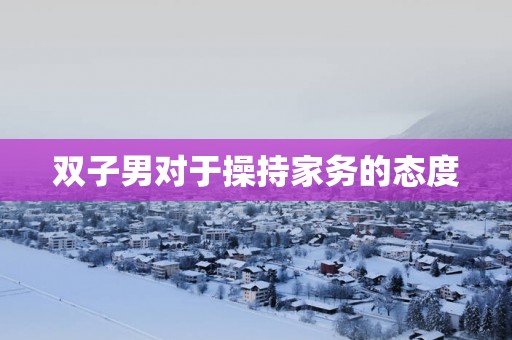 双子男对于操持家务的态度