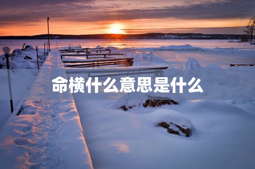 命横什么意思是什么