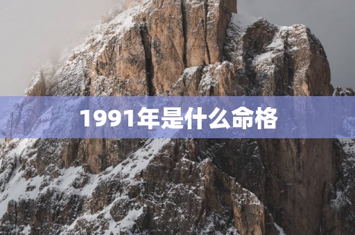 1991年是什么命格