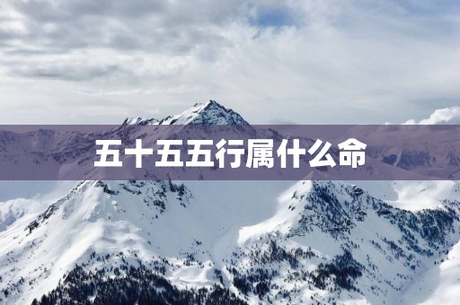 五十五五行属什么命