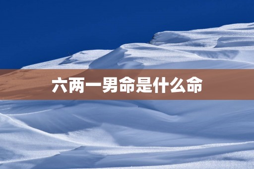 六两一男命是什么命