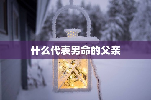 什么代表男命的父亲