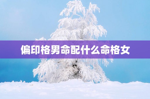 偏印格男命配什么命格女