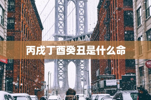 丙戌丁酉癸丑是什么命